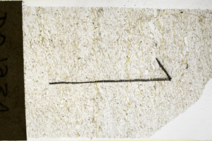 Plane Polarized, N11658/A