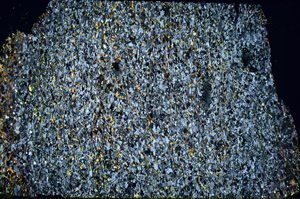 Cross Polarized, N11658/B