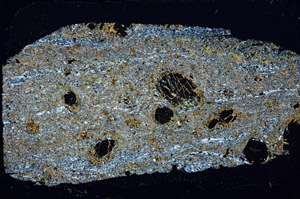 Cross Polarized, N11660