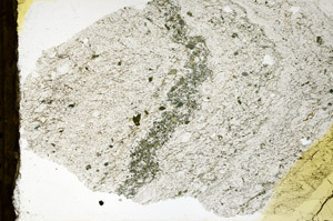 Plane Polarized, N11661