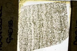 Plane Polarized, N11662
