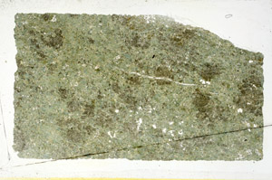 Plane Polarized, N11665