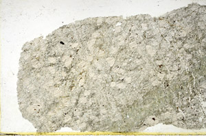 Plane Polarized, N11667