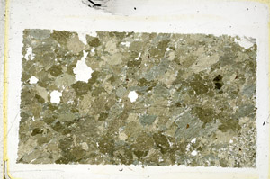 Plane Polarized, N11677
