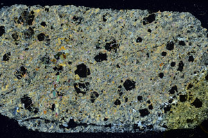 Cross Polarized, N11679