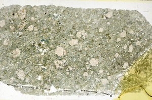 Plane Polarized, N11679