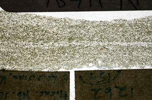 Plane Polarized, N11686