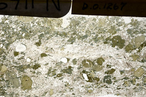 Plane Polarized, N11691