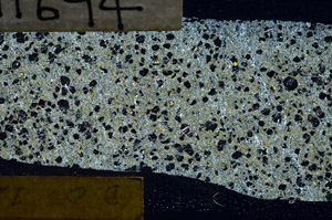 Cross Polarized, N11694