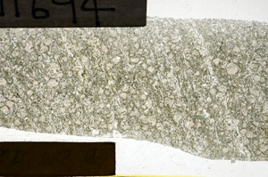 Plane Polarized, N11694