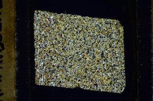 Cross Polarized, N11695