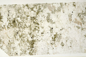 Plane Polarized, N11732