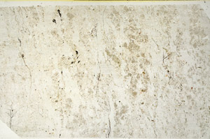 Plane Polarized, N11733