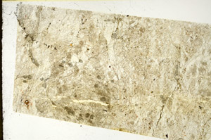 Plane Polarized, N11733/A