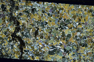 Cross Polarized, N11735