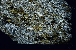 Cross Polarized, N11737