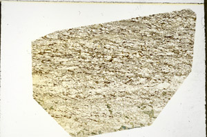 Plane Polarized, N11740