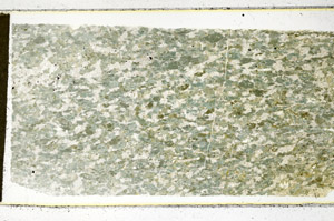 Plane Polarized, N11741