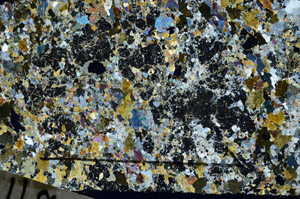 Cross Polarized, N11765