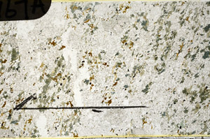 Plane Polarized, N11767/A