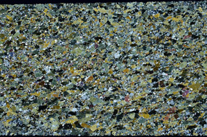 Cross Polarized, N11769