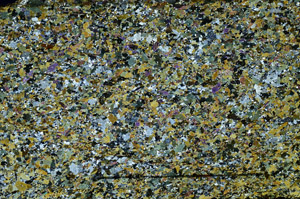 Cross Polarized, N11770