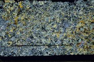 Cross Polarized, N11773