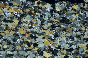 Cross Polarized, N11775/A