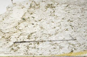 Plane Polarized, N11777