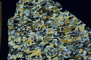 Cross Polarized, N11778