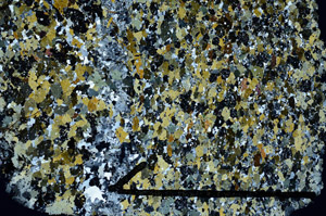 Cross Polarized, N11780/A