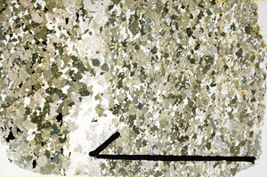 Plane Polarized, N11780/A