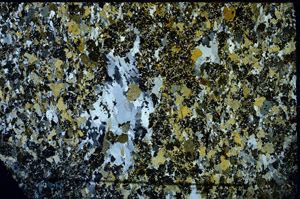 Cross Polarized, N11781/A