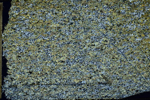 Cross Polarized, N11786