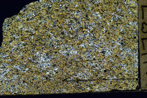 Cross Polarized, N11787
