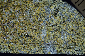 Cross Polarized, N11788