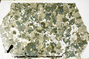 Plane Polarized, N11790/A