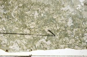 Plane Polarized, N11793