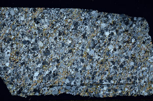 Cross Polarized, N11794/A