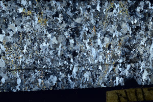 Cross Polarized, N11795/A