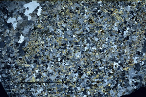 Cross Polarized, N11796