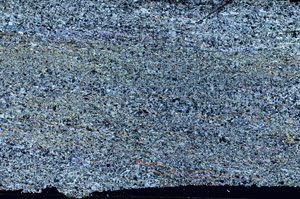 Cross Polarized, N11797