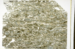 Plane Polarized, N11798