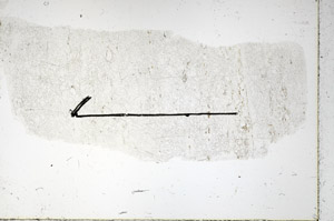 Plane Polarized, N11813/A