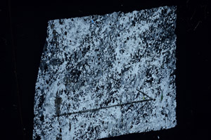 Cross Polarized, N11813/B
