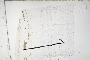 Plane Polarized, N11813/B