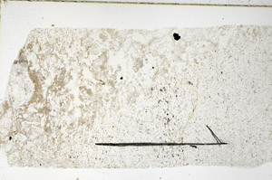 Plane Polarized, N11814