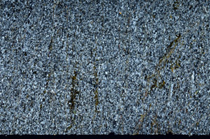 Cross Polarized, N11820