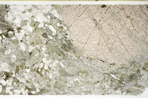 Plane Polarized, N11825/A