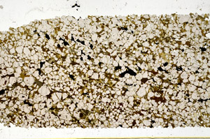 Plane Polarized, N11829